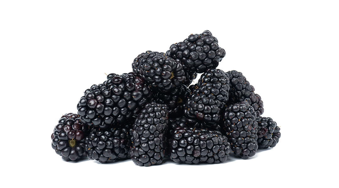 Blackberries