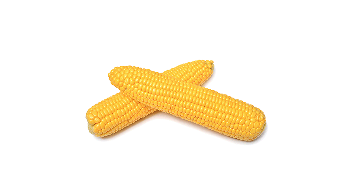 Corn Cobs