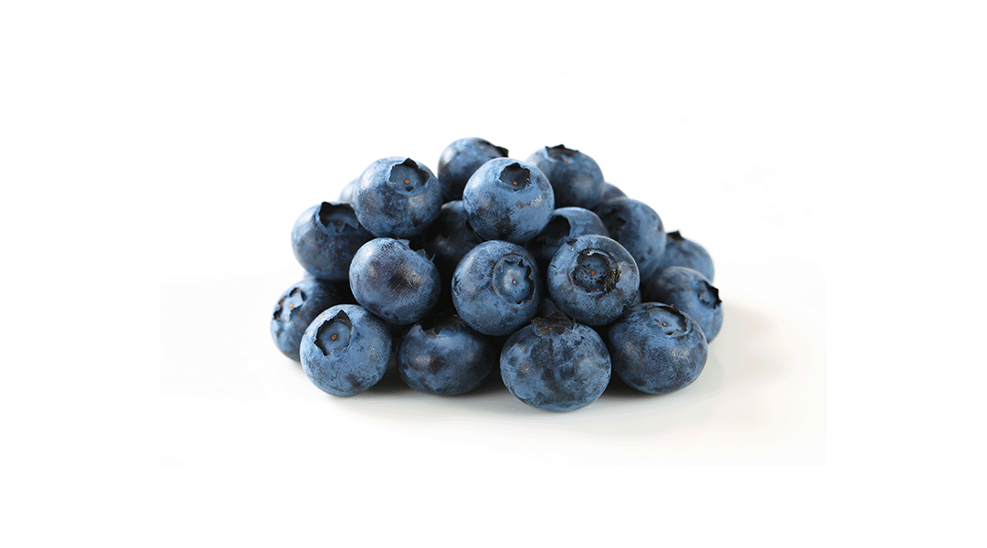 Cultivated Blueberries