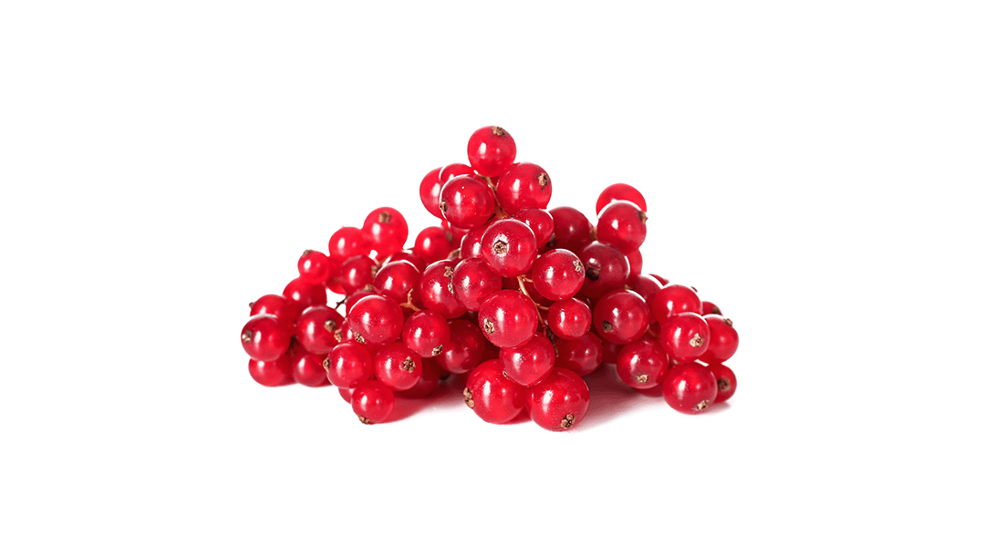 Red Currant