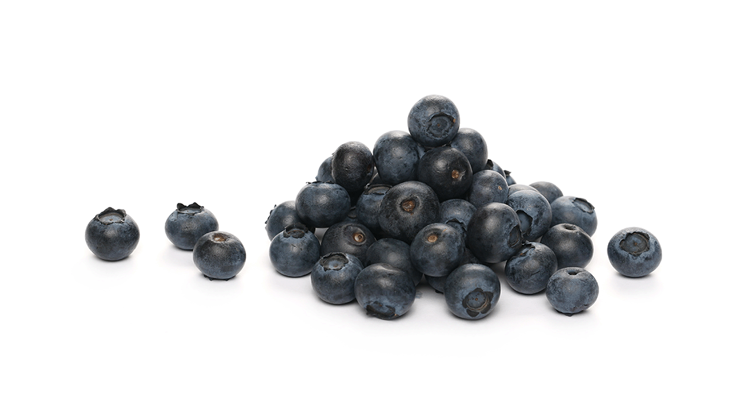 Wild Blueberries